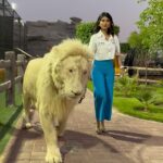 Shaila Sabt