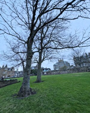 Shandy Aulia Instagram - Fall in love with the town, and in turn the course, and both things meld into one another to create a single experience. 

St. Andrews 🏴󠁧󠁢󠁳󠁣󠁴󠁿
December 2024.