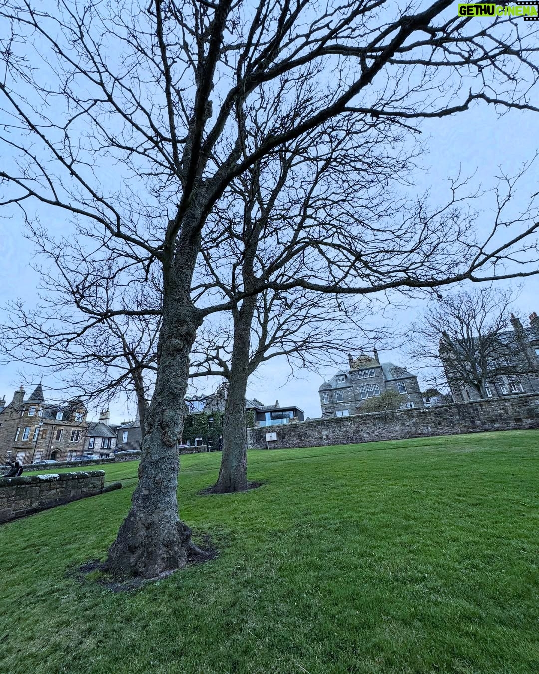 Shandy Aulia - 25K Likes - Fall in love with the town, and in turn the course, and both things meld into one another to create a single experience.
St. Andrews 🏴
December 2024.