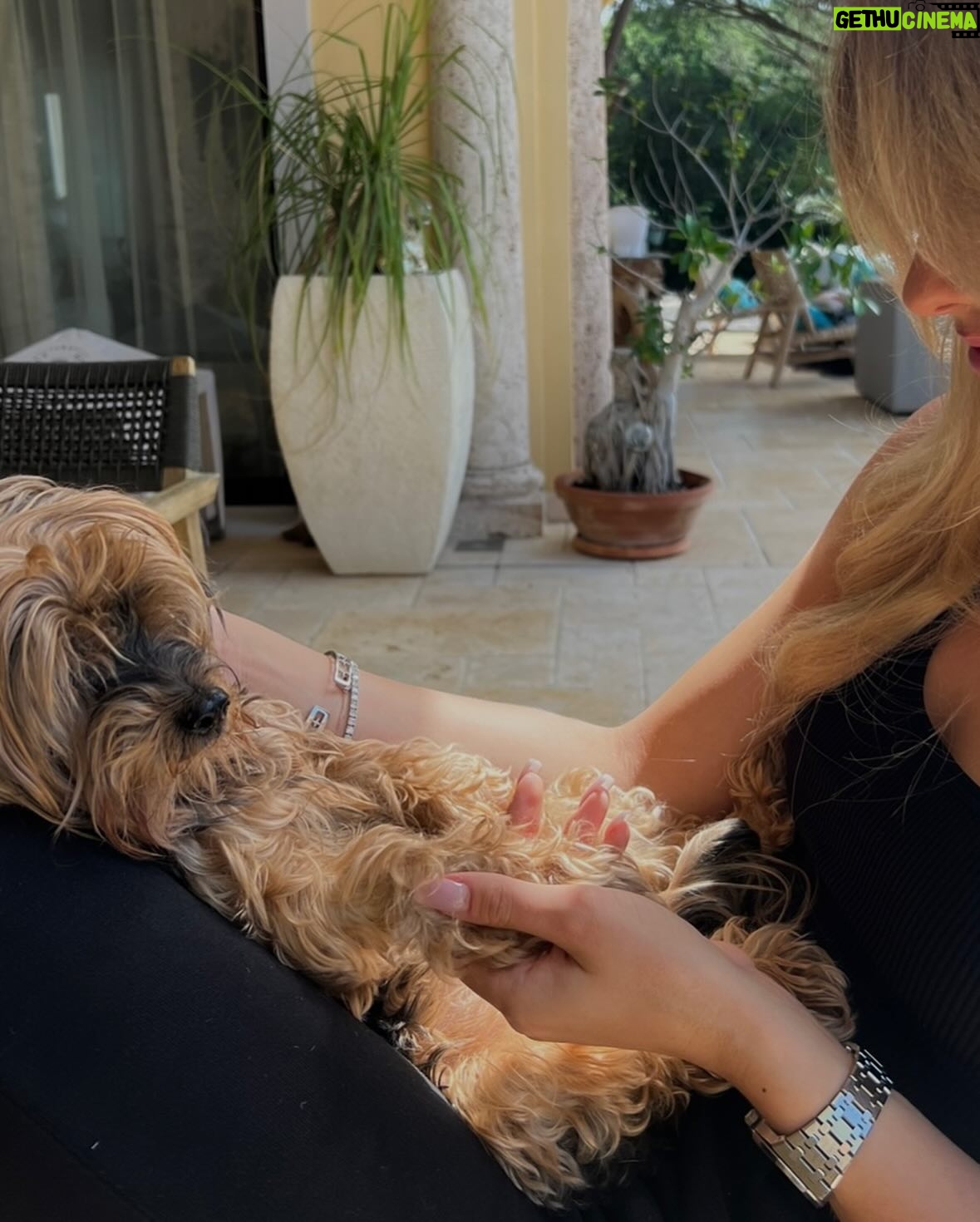 Shania Geiss - 92.8K Likes - I never thought goodbye would be this soon, you were the strongest and bravest dog i know, no matter what life threw at you, you fought through it. I always knew you were so special! Yesterday was the hardest day of my life letting you go, that was something i never wanted to face but i had to do it for you because i love you so much and i know you are in a happy place with dex🐾You were my best friend, and the only one who always made me smile, there will never be another like you my baby! I hope you know how proud i am of you and how thankful i am that you were by my side since 17 years. Life won’t be the same without you but i will carry you in my heart forever, i promise! Rest well my love you deserve peace, words don’t describe how much i miss you and how hard it was letting you go but now you’ll be able to take care of us from up there! I love you fly high my baby🕊️🕊️ 10.03.2025