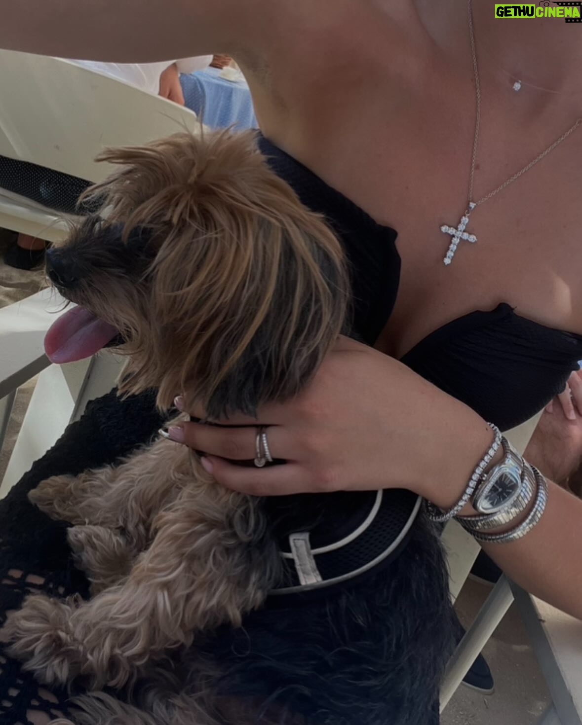 Shania Geiss - 92.8K Likes - I never thought goodbye would be this soon, you were the strongest and bravest dog i know, no matter what life threw at you, you fought through it. I always knew you were so special! Yesterday was the hardest day of my life letting you go, that was something i never wanted to face but i had to do it for you because i love you so much and i know you are in a happy place with dex🐾You were my best friend, and the only one who always made me smile, there will never be another like you my baby! I hope you know how proud i am of you and how thankful i am that you were by my side since 17 years. Life won’t be the same without you but i will carry you in my heart forever, i promise! Rest well my love you deserve peace, words don’t describe how much i miss you and how hard it was letting you go but now you’ll be able to take care of us from up there! I love you fly high my baby🕊️🕊️ 10.03.2025