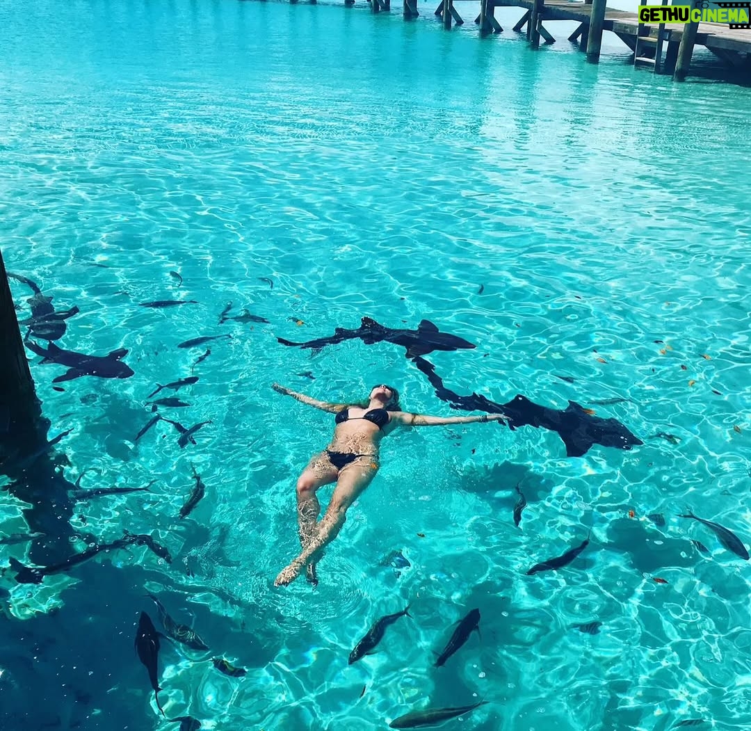 Shanna Moakler - 16.6K Likes - Cheers to 50!
My 40s came with some of the greatest highs and the deepest lows. I loved hard, laughed louder, cried when I needed to, and kept showing up. I lost more than I ever imagined—but I also gained strength, wisdom, and a deeper appreciation for the real ones in my life.
Aging? Yeah, it’s a gift. And today, I’m feeling extra blessed—grateful to God, to my beautiful, healthy kids, my family, my tribe… and the man who loves me like no other.
This next chapter? It’s giving main character energy.
More joy. More magic. More memories.
Let’s make 50 unforgettable! ✨
