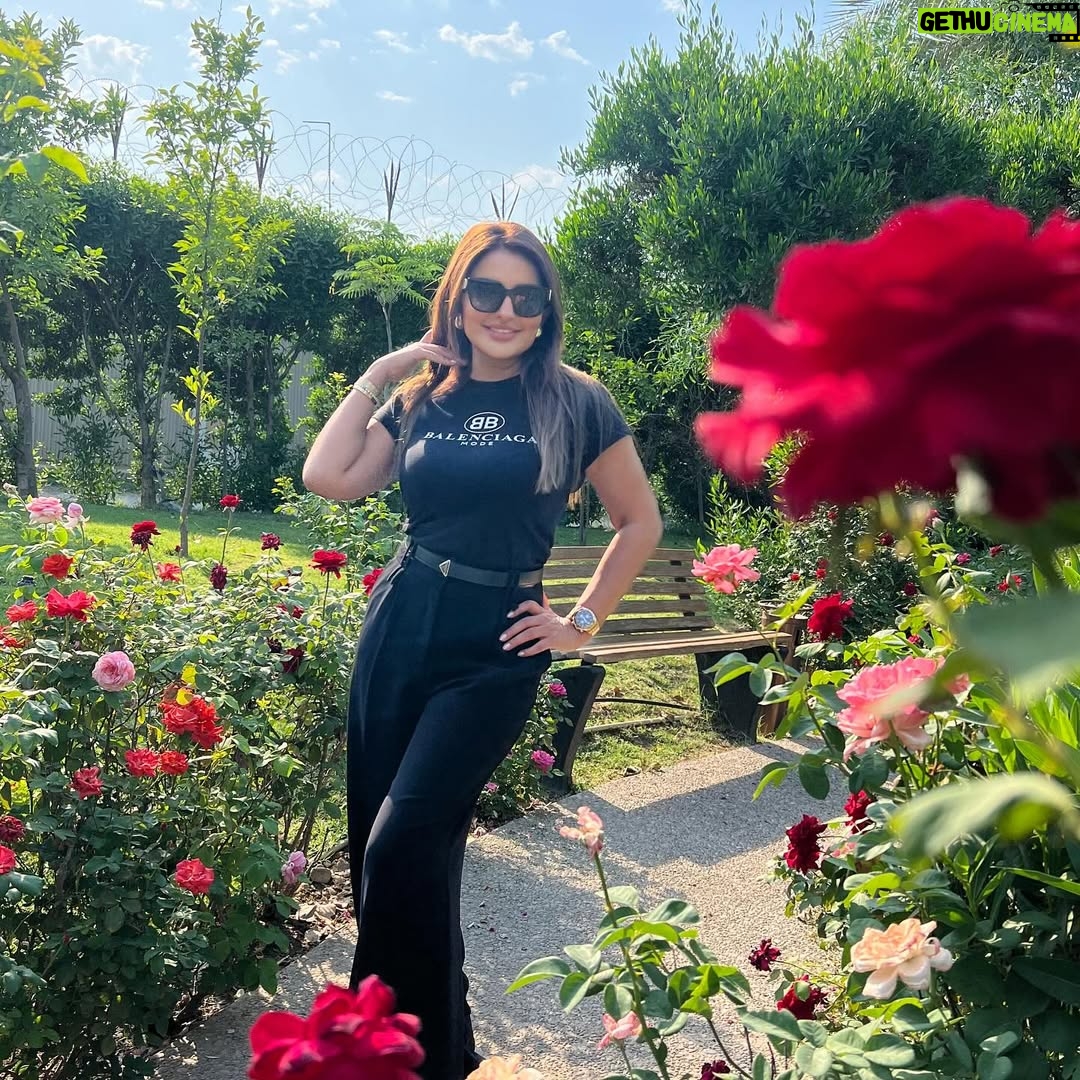 Shatha Hassoun - 33.4K Likes - الورد جوري بين نخلة و نخلة و الگلب طاير وي نوارس دجلة 🇮🇶🙏🌺 #العراق #بغداد #كهرمانة #شذى_حسون