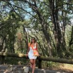 Shatha Hassoun