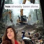 Shenaz Treasurywala