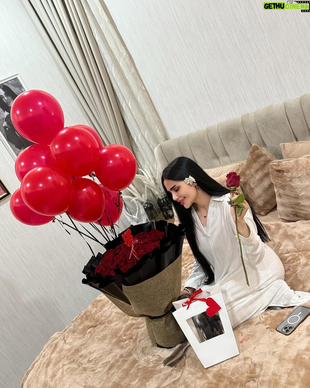 Shimaa Qasim - 186.9K Likes - ملكي وملاكي ومكملي وكمالي أنت🩶
#شيماء_قاسم