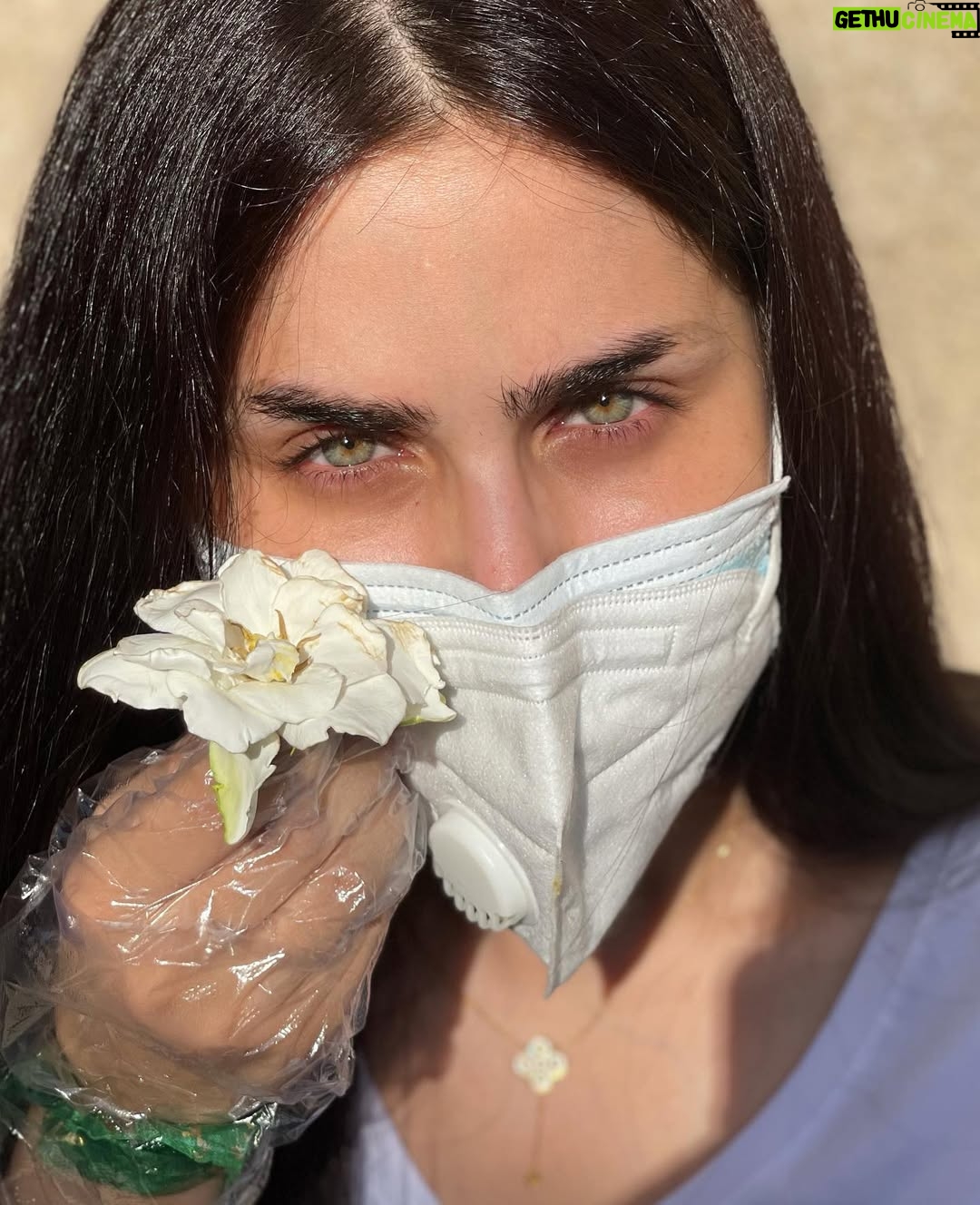 Shimaa Qasim - 165.9K Likes - لا تنحني للضعف ﺂبدآ🦅 #شيماء_قاسم