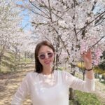 Shin Ji