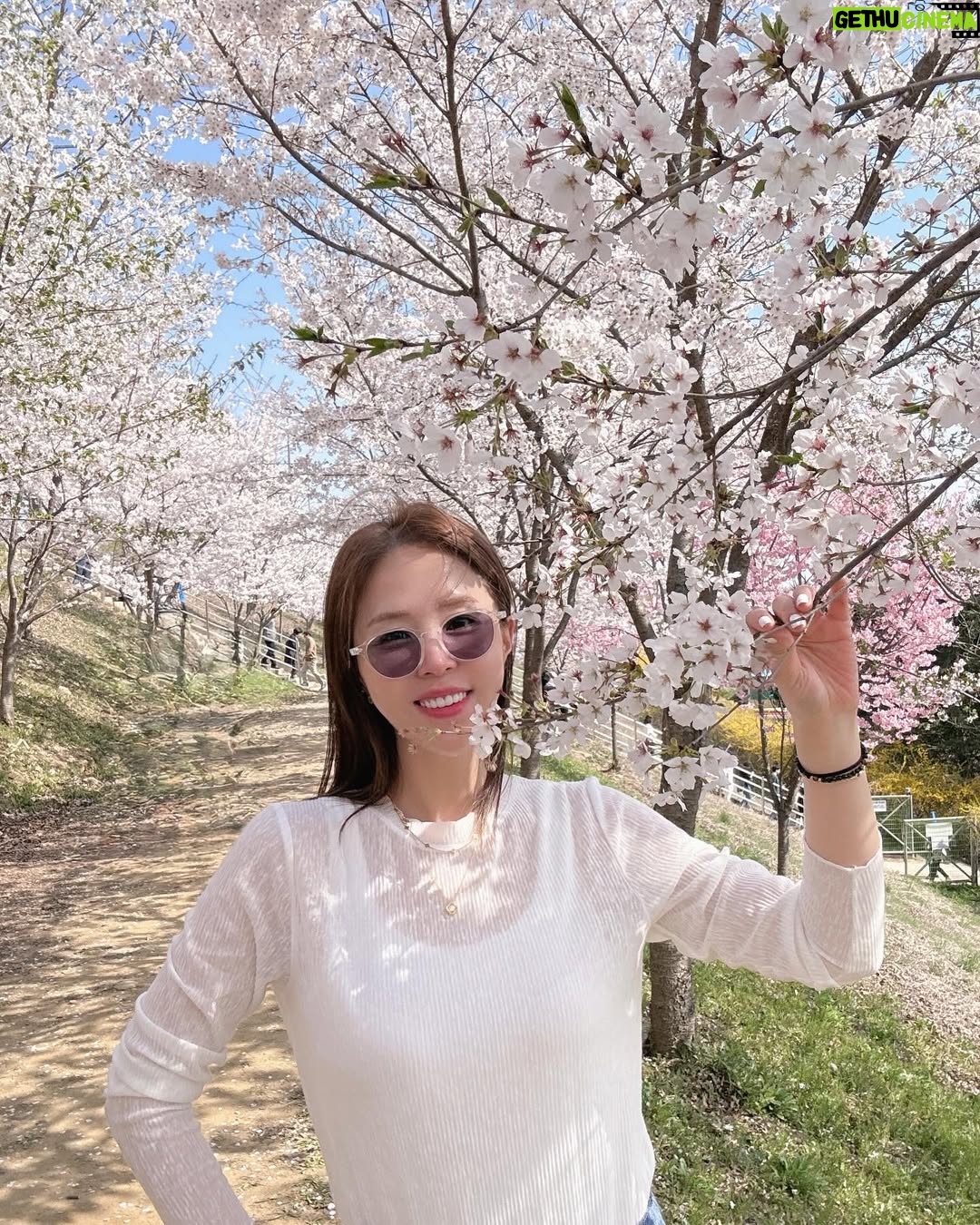 Shin Ji - 6.8K Likes - 또 행복했다🌸💕