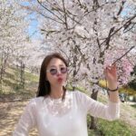 Shin Ji