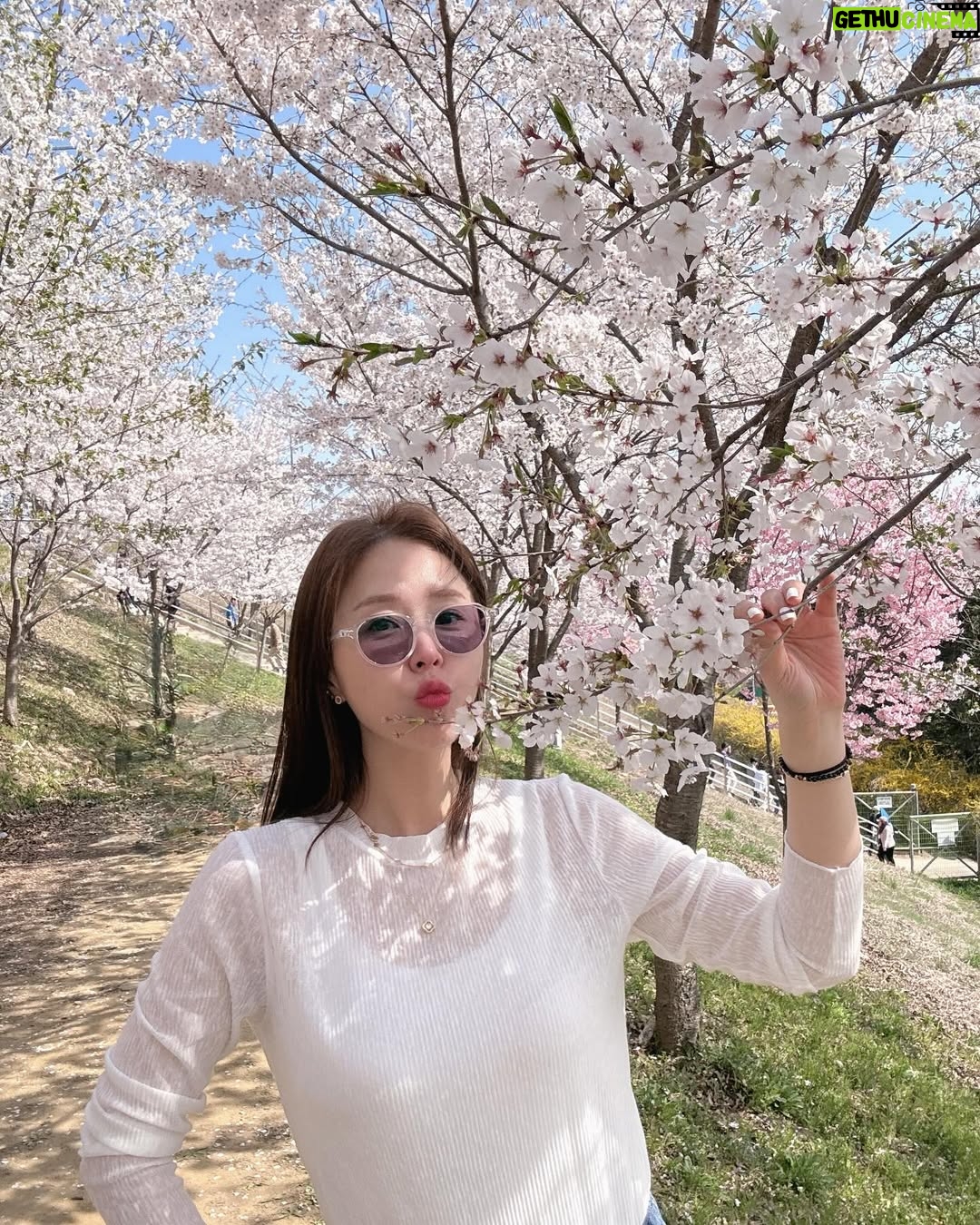 Shin Ji - 6.8K Likes - 또 행복했다🌸💕