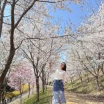 Shin Ji