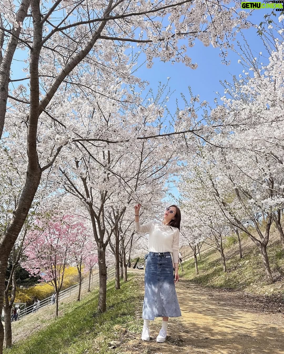 Shin Ji - 6.8K Likes - 또 행복했다🌸💕