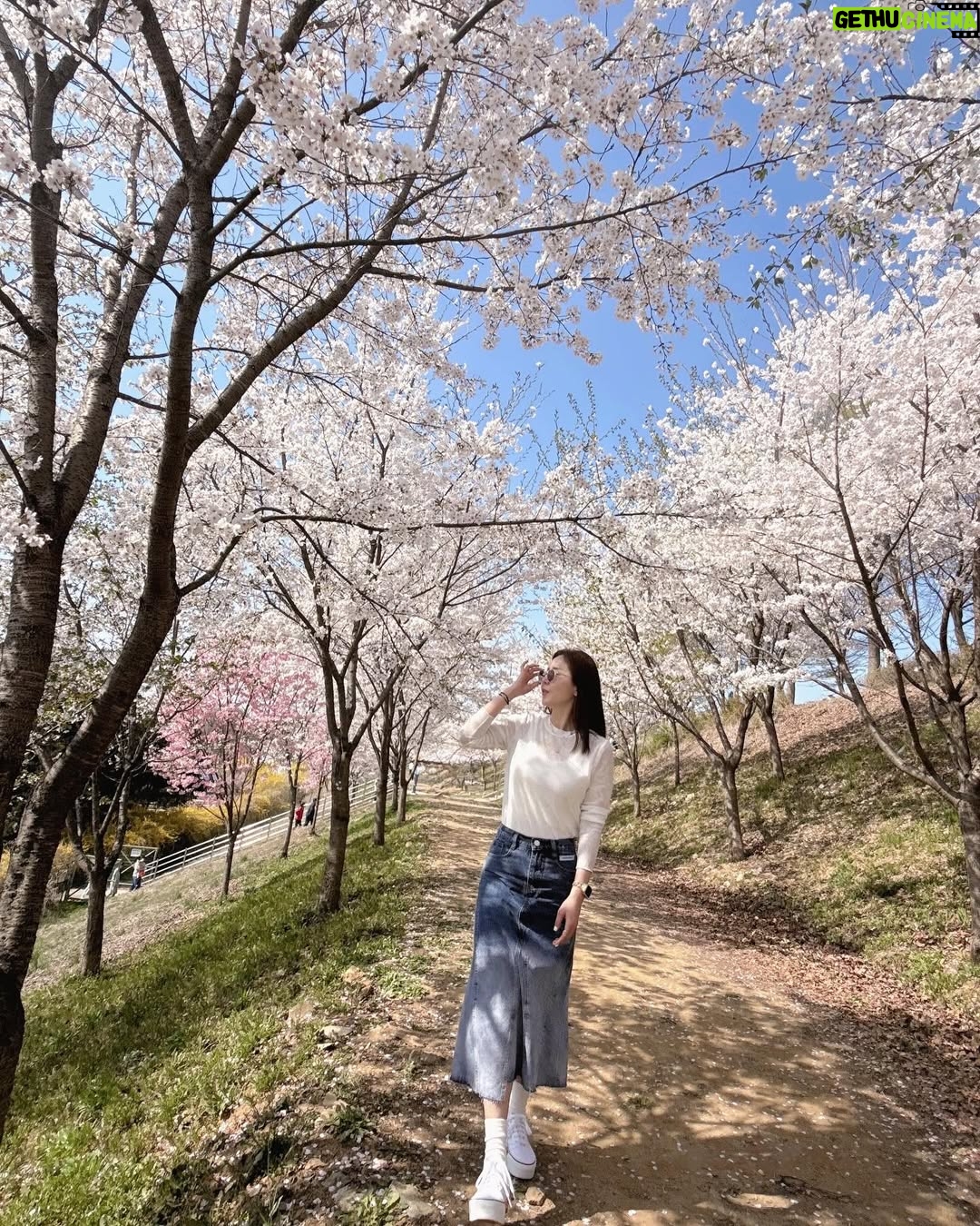 Shin Ji - 6.8K Likes - 또 행복했다🌸💕