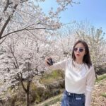 Shin Ji