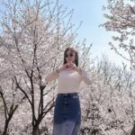 Shin Ji