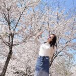 Shin Ji