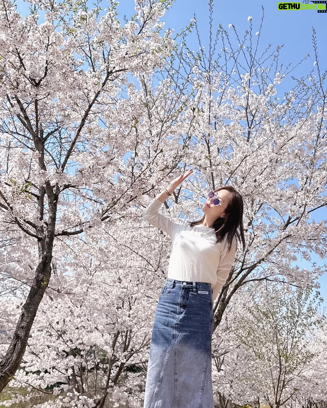 Shin Ji - 6.8K Likes - 또 행복했다🌸💕