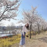 Shin Ji