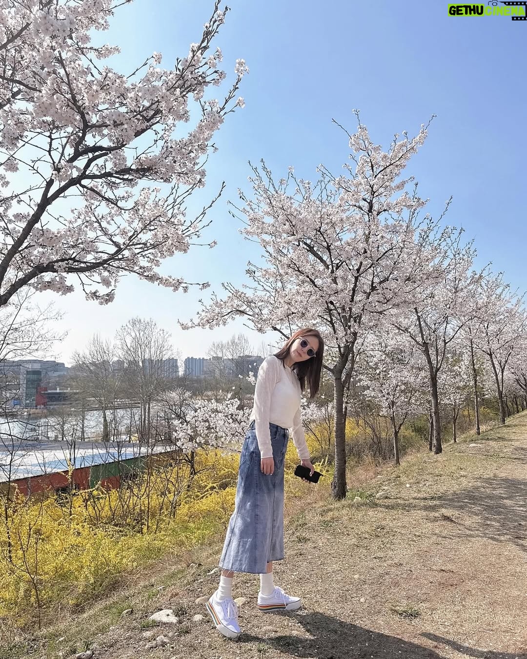 Shin Ji - 6.8K Likes - 또 행복했다🌸💕