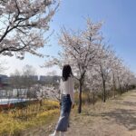 Shin Ji