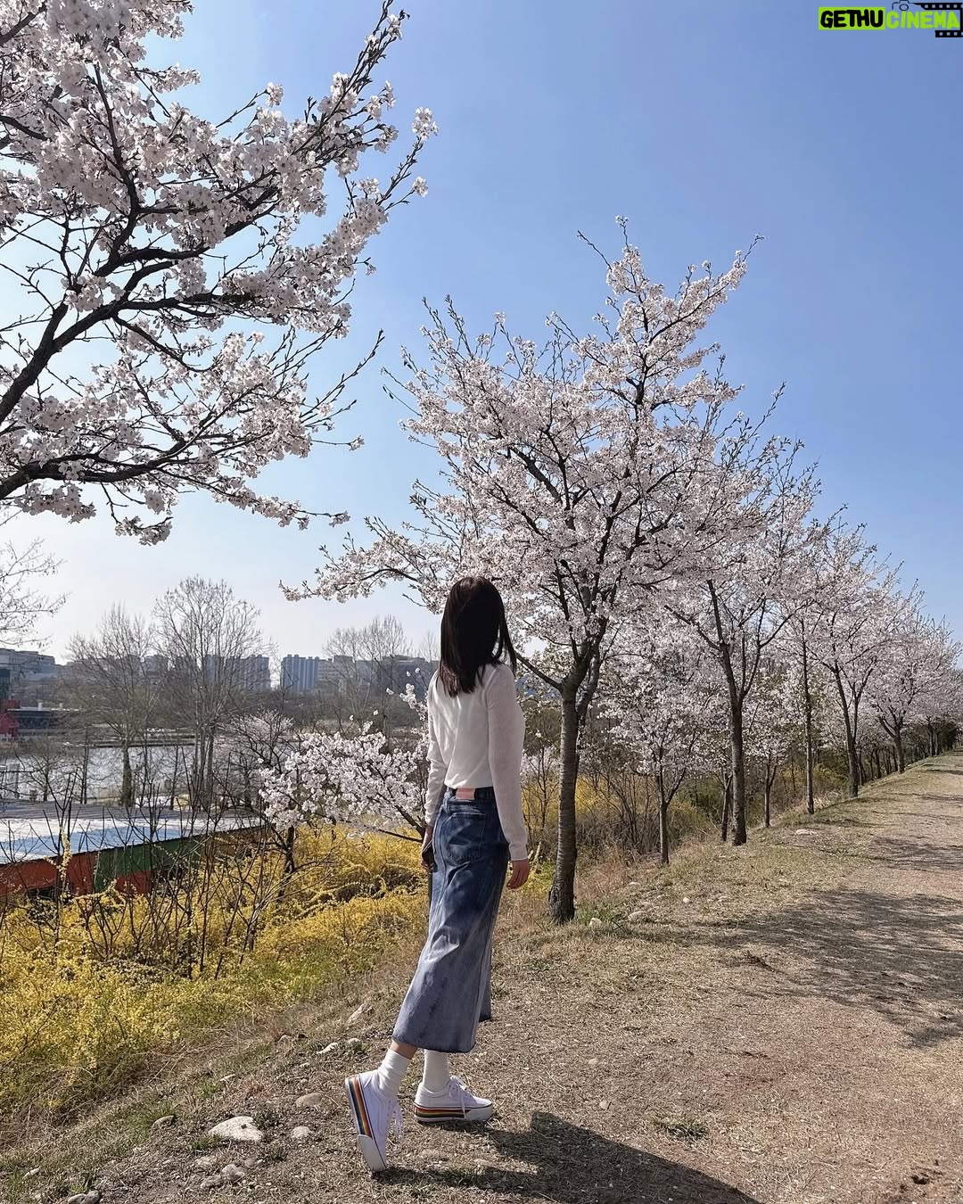 Shin Ji - 6.8K Likes - 또 행복했다🌸💕