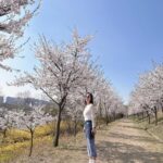 Shin Ji