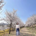 Shin Ji