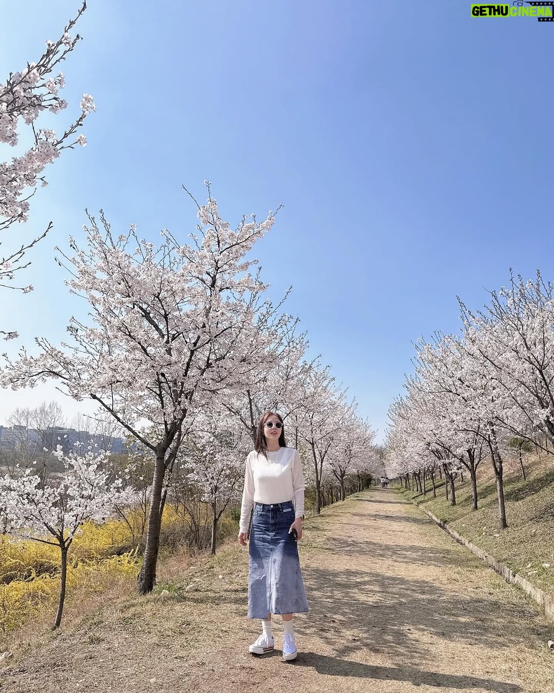 Shin Ji - 6.8K Likes - 또 행복했다🌸💕