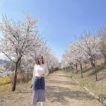 Shin Ji