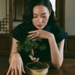 Shin Min-a
