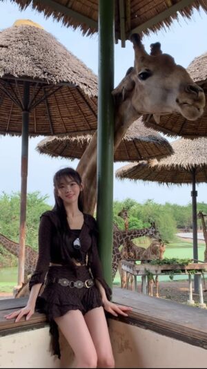 Shin Sae-rom Instagram - 기린을 이렇게 가까이서 볼 수 있다니 !🦒