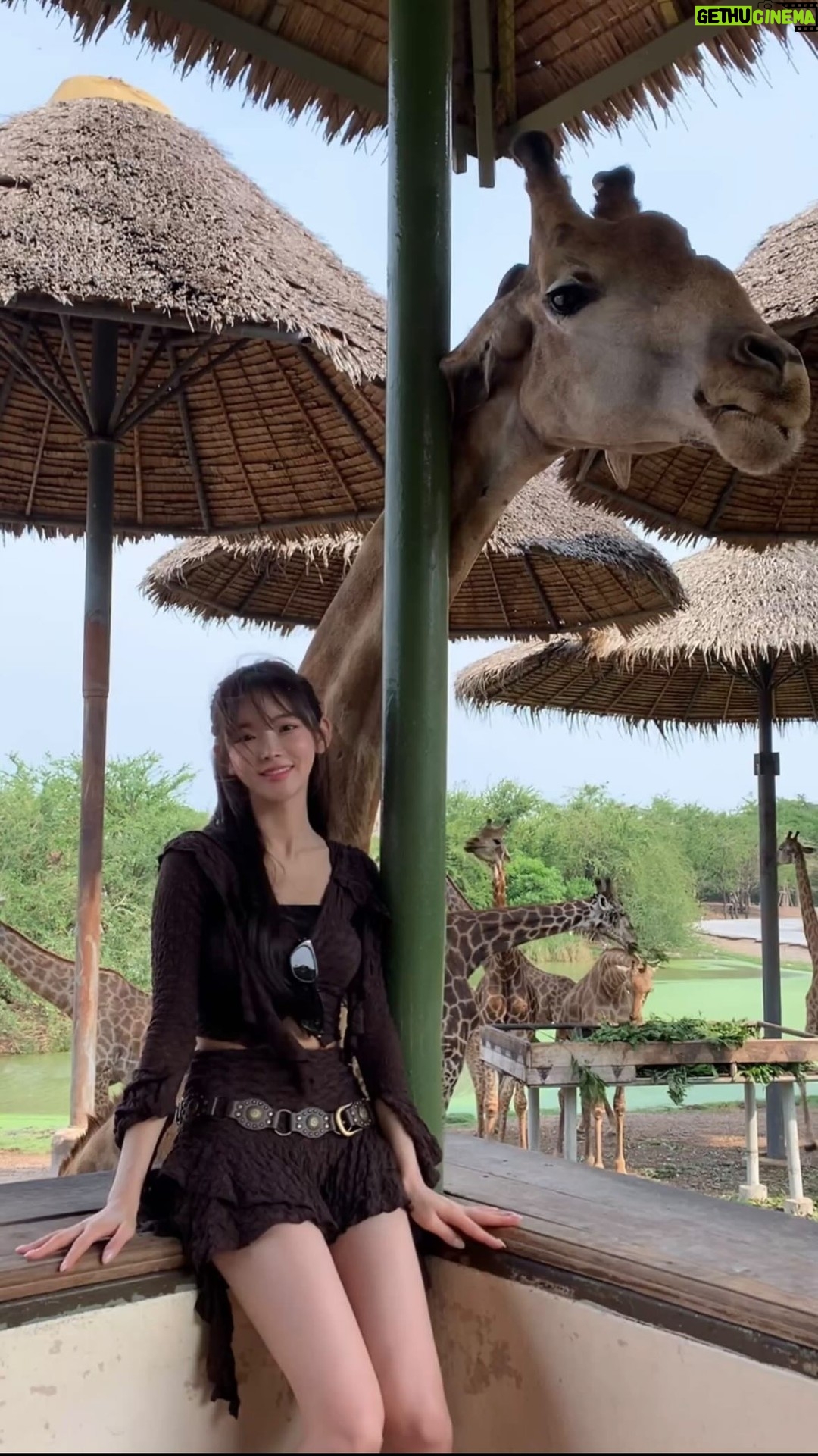 Shin Sae-rom - 10.4K Likes - 기린을 이렇게 가까이서 볼 수 있다니 !🦒