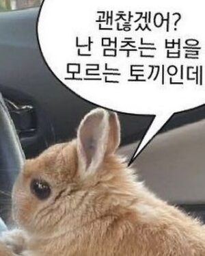 Shin Si-a Instagram - 🐰💭🍔🤍
