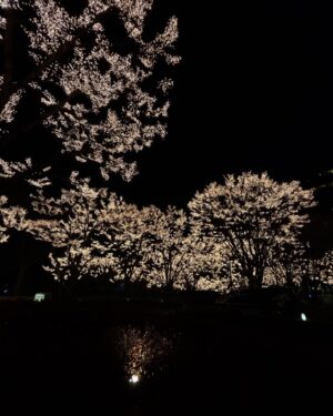 Shin Si-a Instagram - things that i did this winter 💨🤍💨🤍💨
겨울을 보내주며..... photo dumps!