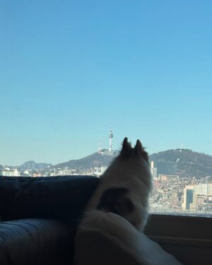 Shin Si-a Instagram - things that i did this winter 💨🤍💨🤍💨
겨울을 보내주며..... photo dumps!