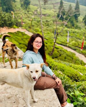 Shreema Bhattacherjee Instagram - কোনো এক পাহাড়ি গ্রামে তোমার আমার দেখা,
তোমায় ভুলতে চাইনা বলেই,
আজ আমার পদ্য লেখা!
যদিও তখন তোমার নাম জানিনা,
প্রথম দেখায় ভালোবাসব তাও মানিনা ।
তবুও তোমার চোখে জাদু,
আমার কাছে এগিয়ে এসে দুঃখ কেড়ে নিলো।

কত গল্প বললাম তোমায়,
তুমি সেটা মন দিয়ে শুনলেও!
অথচ এভাবে অতিথি কে ভালোবাসা যায়, 
তোমায় না দেখলে জানতাম না।
ভদলু ছানা নাম পেয়ে তোমার কত না হাসি।
একটু খাবার আর ভালোবাসা ছাড়া দেওয়ার কিছু নেই!
তাই ক্ষমা চাইলাম,,,
তোমায় মনে রাখব এই কথা দিয়ে বিদায় জানালাম ♥️🐾