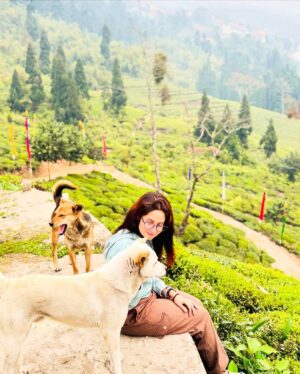 Shreema Bhattacherjee Instagram - কোনো এক পাহাড়ি গ্রামে তোমার আমার দেখা,
তোমায় ভুলতে চাইনা বলেই,
আজ আমার পদ্য লেখা!
যদিও তখন তোমার নাম জানিনা,
প্রথম দেখায় ভালোবাসব তাও মানিনা ।
তবুও তোমার চোখে জাদু,
আমার কাছে এগিয়ে এসে দুঃখ কেড়ে নিলো।

কত গল্প বললাম তোমায়,
তুমি সেটা মন দিয়ে শুনলেও!
অথচ এভাবে অতিথি কে ভালোবাসা যায়, 
তোমায় না দেখলে জানতাম না।
ভদলু ছানা নাম পেয়ে তোমার কত না হাসি।
একটু খাবার আর ভালোবাসা ছাড়া দেওয়ার কিছু নেই!
তাই ক্ষমা চাইলাম,,,
তোমায় মনে রাখব এই কথা দিয়ে বিদায় জানালাম ♥️🐾