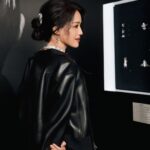 Shu Qi