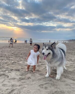 Siti Badriah Instagram - Xarendul: Daddy fotoin daddy (ampe ngengklek ngengklek)