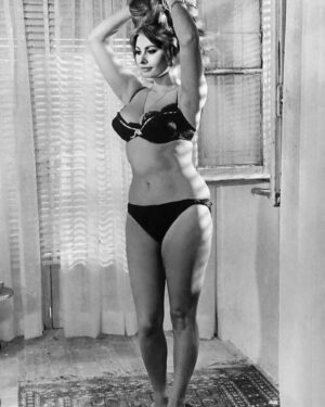 Sloboda Mićalović Instagram - ZENA💋🍸

Ko jos zeli/zali za  ovakvom lepotom?!
#sophialoren 💋🍸