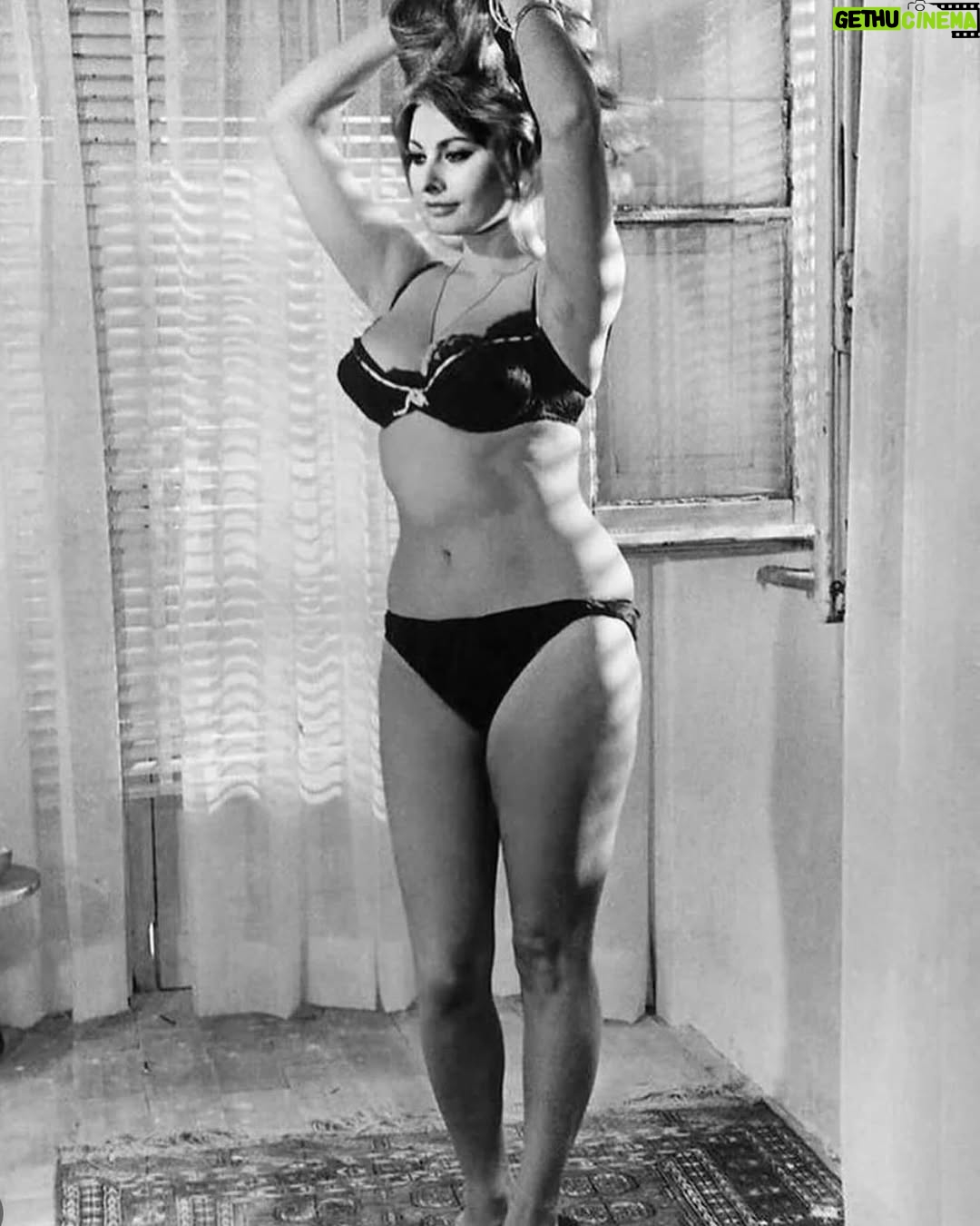 Sloboda Mićalović - 21.8K Likes - ZENA💋🍸
Ko jos zeli/zali za ovakvom lepotom?!
#sophialoren 💋🍸