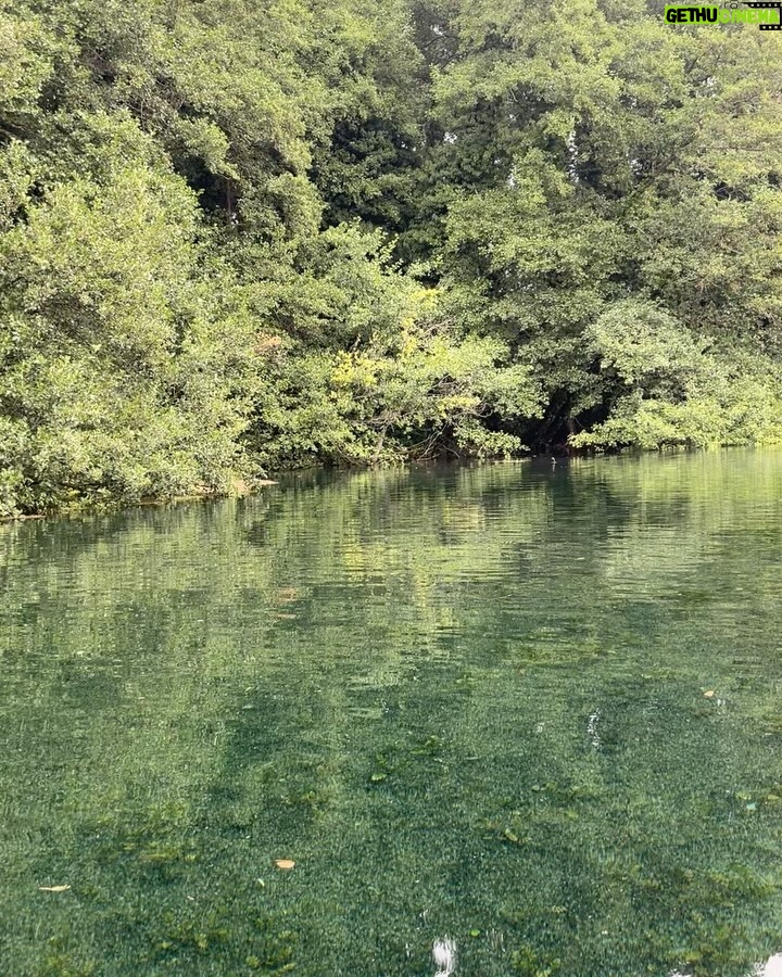 Sloboda Mićalović - 23K Likes - Ohrid#Sv.Naum🙏🏻
