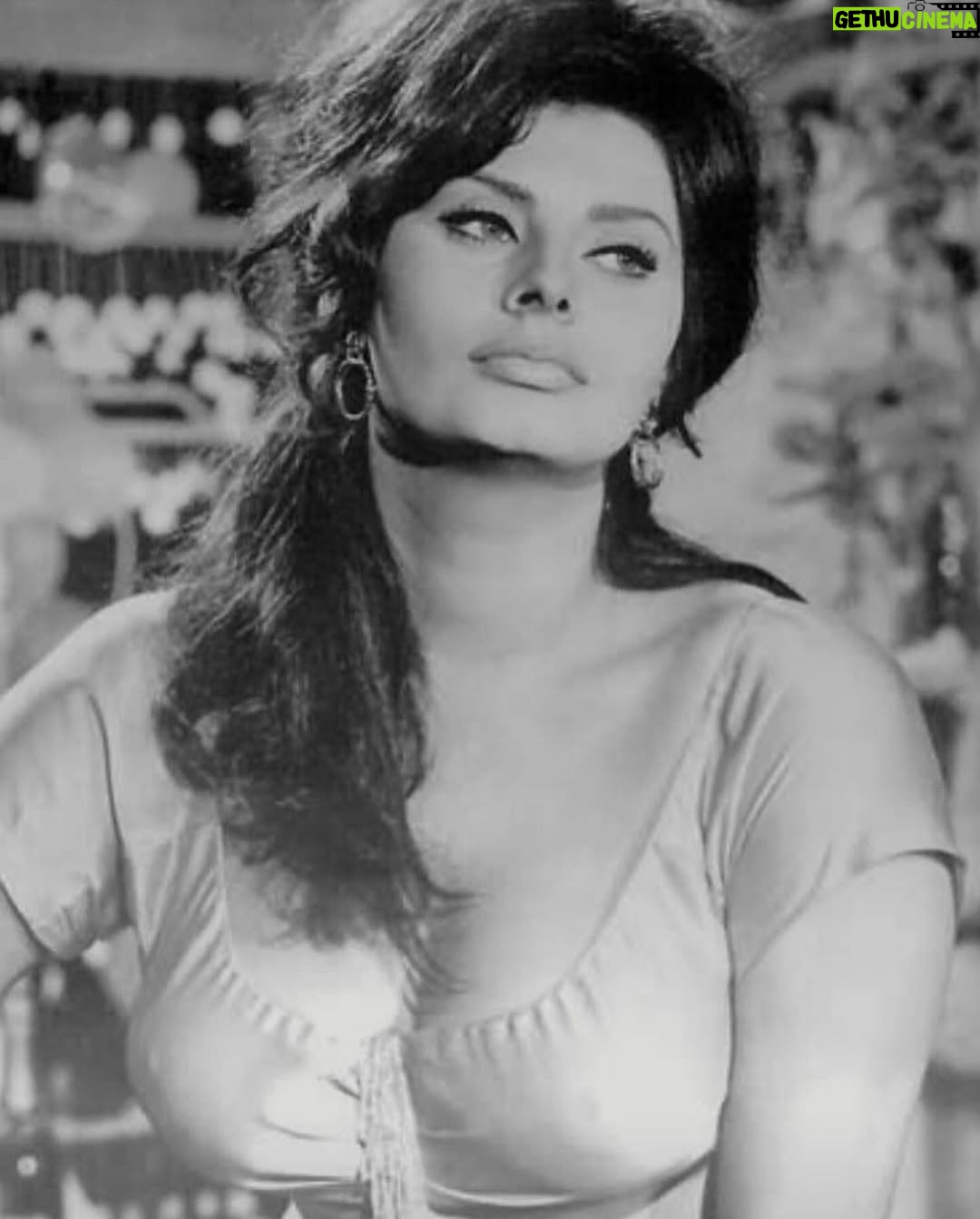 Sloboda Mićalović - 21.8K Likes - ZENA💋🍸
Ko jos zeli/zali za ovakvom lepotom?!
#sophialoren 💋🍸