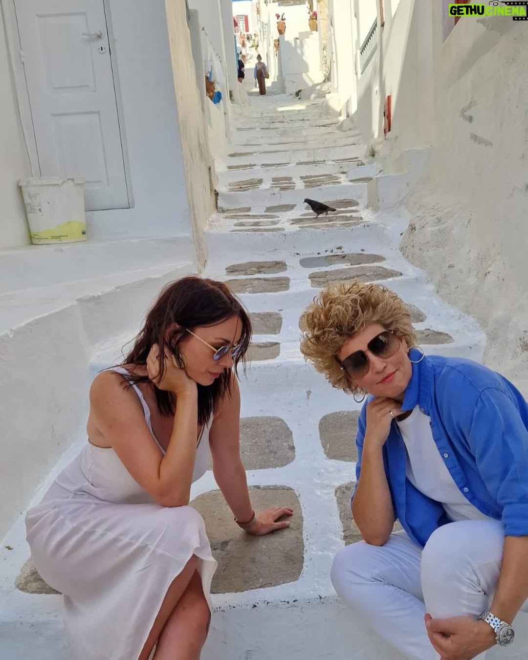 Sloboda Mićalović - 13.9K Likes - To je tako!!!😂😂😂🫶🏼🫶🏼🫶🏼💃🏻💃🏻💃🏻😎😎😎🥳🥳🥳 @biljanacigoja