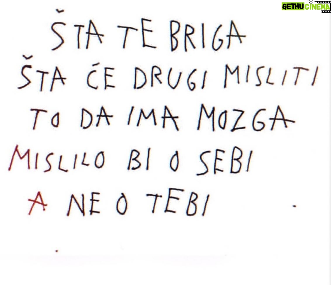 Sloboda Mićalović - 35.6K Likes - 😉