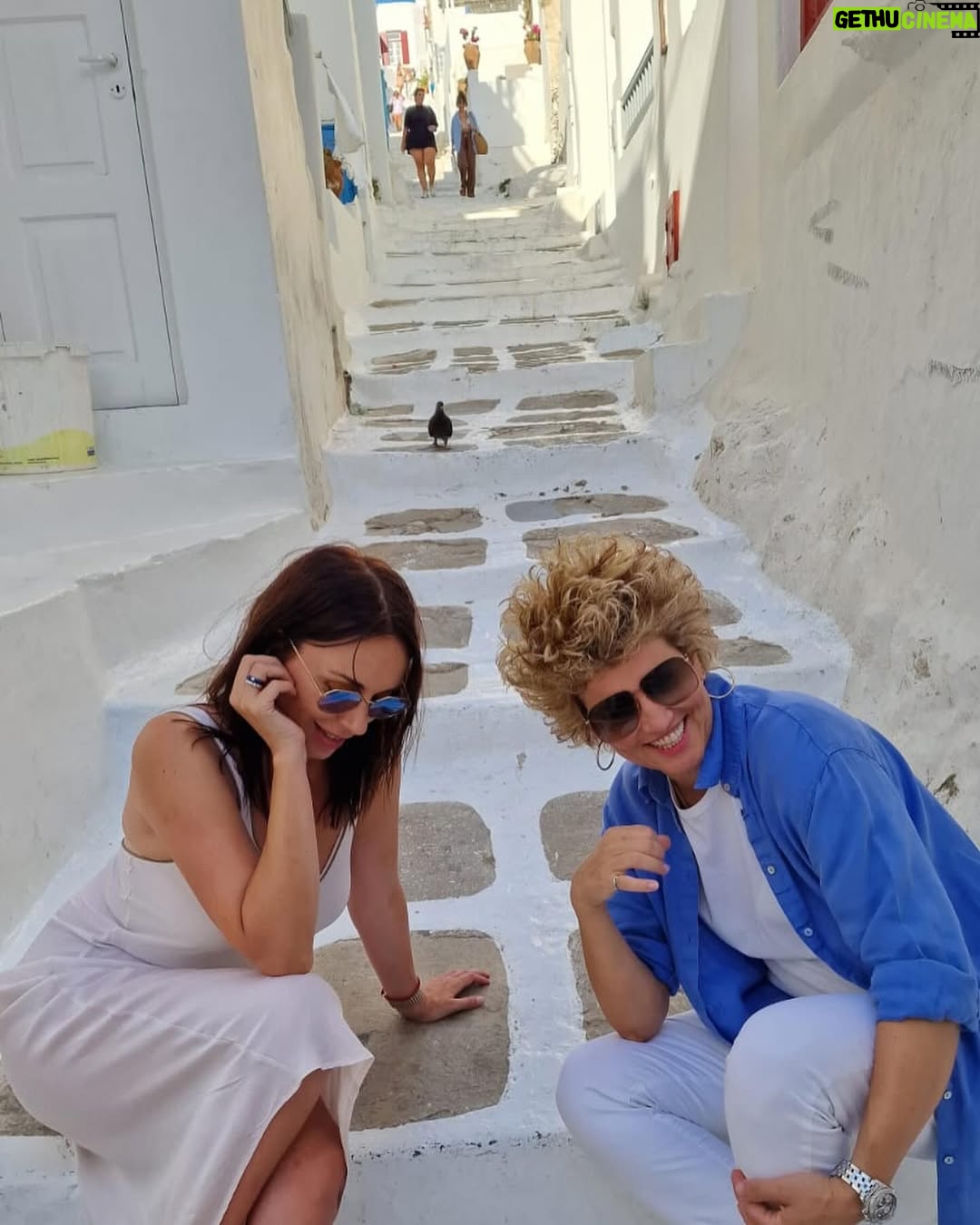 Sloboda Mićalović - 13.9K Likes - To je tako!!!😂😂😂🫶🏼🫶🏼🫶🏼💃🏻💃🏻💃🏻😎😎😎🥳🥳🥳 @biljanacigoja