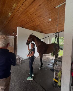 Soledad O'Brien Instagram - Fresh off my redeye from Cali--I got to lead a field trip to the barn!  Feeding the horses was fun--but the chickens were the real draw🔥🔥🔥Thank you @lauriestevens1010 ❤️❤️
