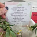 Son Ji-hyun
