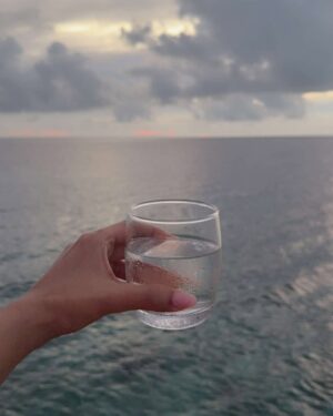 Sonal Chauhan Instagram - And it continues @travelwithjourneylabel 
Experiencing The unmatchable magic of @furaverimaldives 🤎 🐆 
@travelwithjourneylabel
@furaverimaldives 

#Furaveri #FuraveriMaldives #JourneyLabel #TravelWithJourneyLabel #ThinkHolidayThinkJourneyLabel #ManyMemories